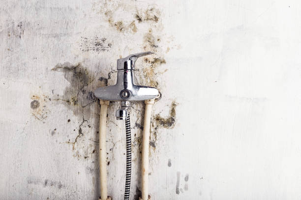 Certified Mold Removal in Murfreesboro, AR