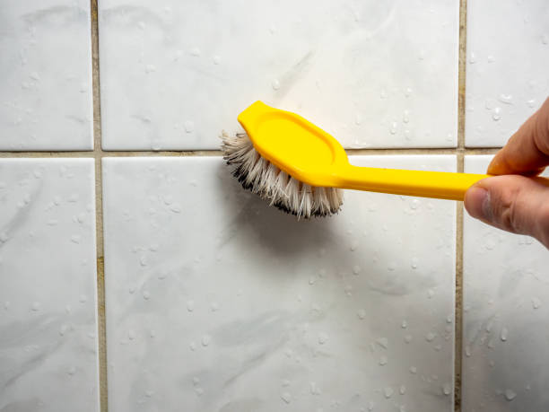 Best Mold Removal Near Me  in Murfreesboro, AR