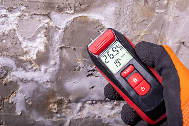 Best Crawl Space Mold Removal  in Murfreesboro, AR