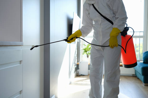 Best Attic Mold Removal  in Murfreesboro, AR